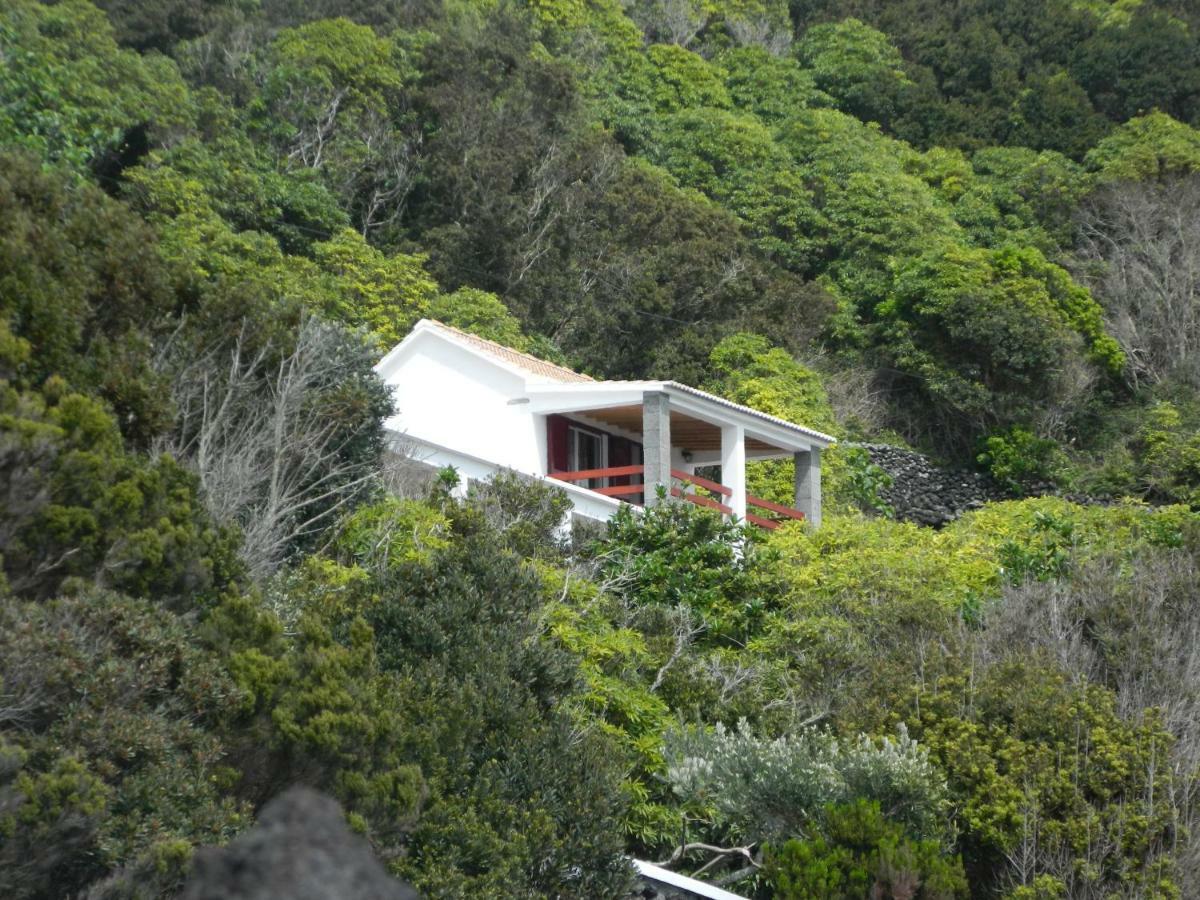 Adega Ninho Da Cagarra Villa Calheta de Nesquim Exterior photo